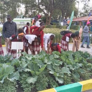 STEP Kenya Participates at the Nakuru National Agricultural Show